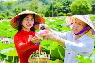 Chủ tịch HUTC Trương Quốc Hùng: Tour trải nghiệm sen Kiếp Bạc 2025 độc đáo, sáng tạo